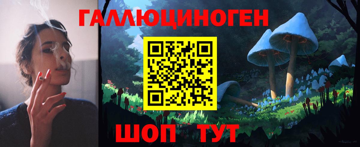 Галлюциногенные грибы Psilocybine cubensis Кузнецк